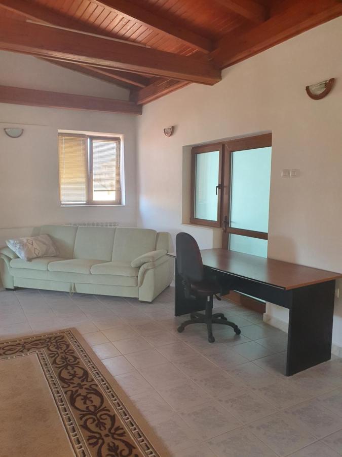 Vila Boss Constanta Bagian luar foto